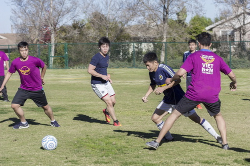 Giải bóng đá Thanh niên Sinh viên Việt nam tại California California Champions League 2016